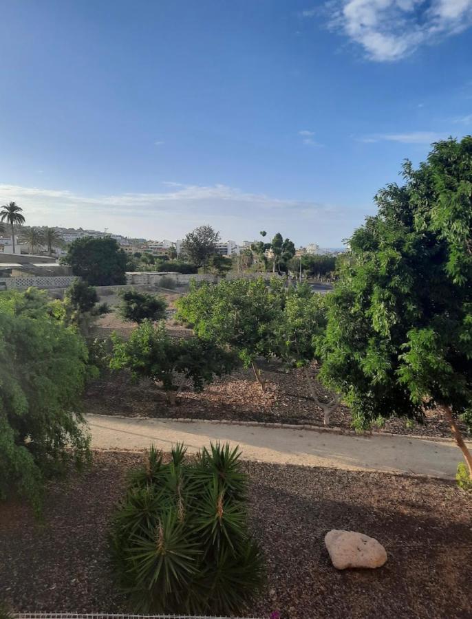 Oasis Del Duque Apartment Costa Adeje  Εξωτερικό φωτογραφία